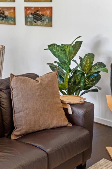 Apartment River Torrens Retreat - 2br, Parking, Wi-fi Adelaide